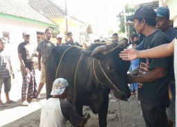 Polresta Sidoarjo Imbau Pembagian Daging Kurban Door to Door