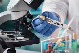 Kasus Corona: Jerman 99.225 Kasus, Di Amerika 8.910 Orang Meninggal