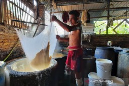 Harga Naik, Permintaan Kedelai Impor di Kudus Stabil
