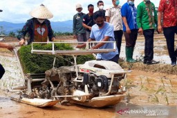 Tanam Padi Serentak 400 Hektar Dilakukan di Baruga, Kendari