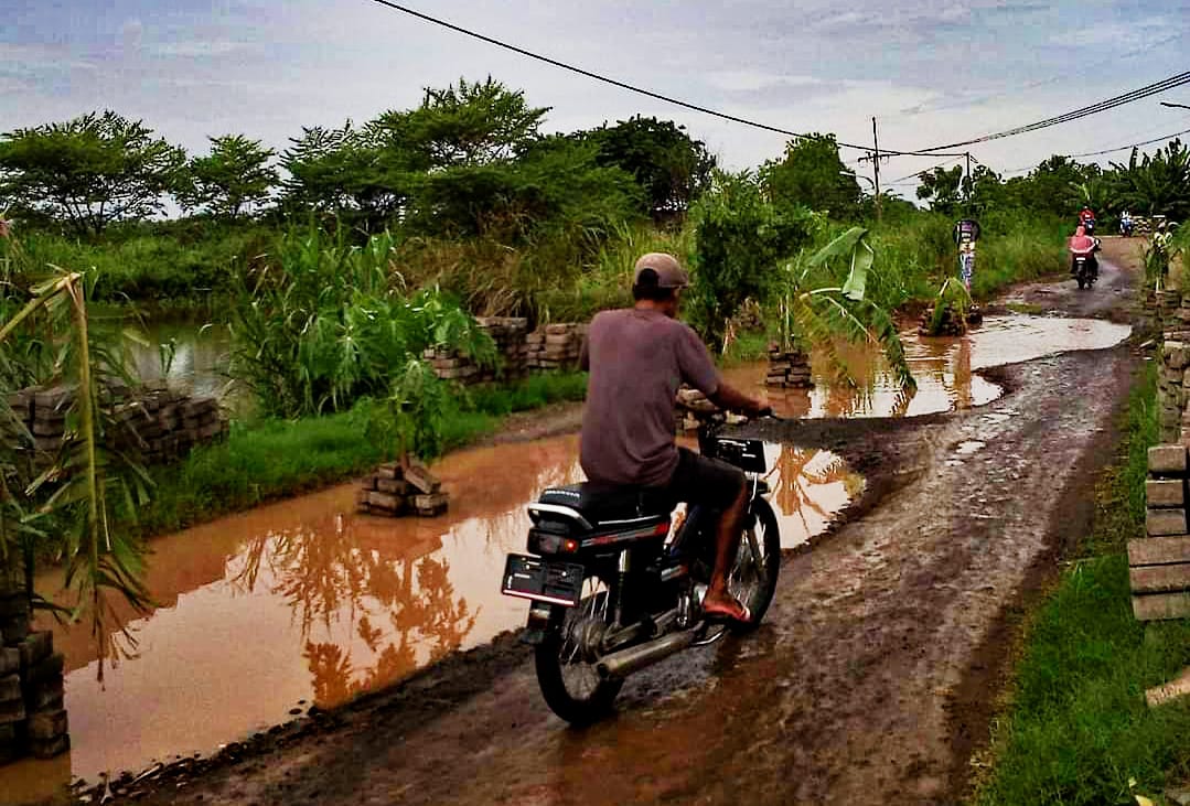 Kondisi jalan Bringkang menuju Pranti Kecamatan Menganti Kabupaten Gresik yang ditanami pohon pisang sebagai bentuk protes warga. IST