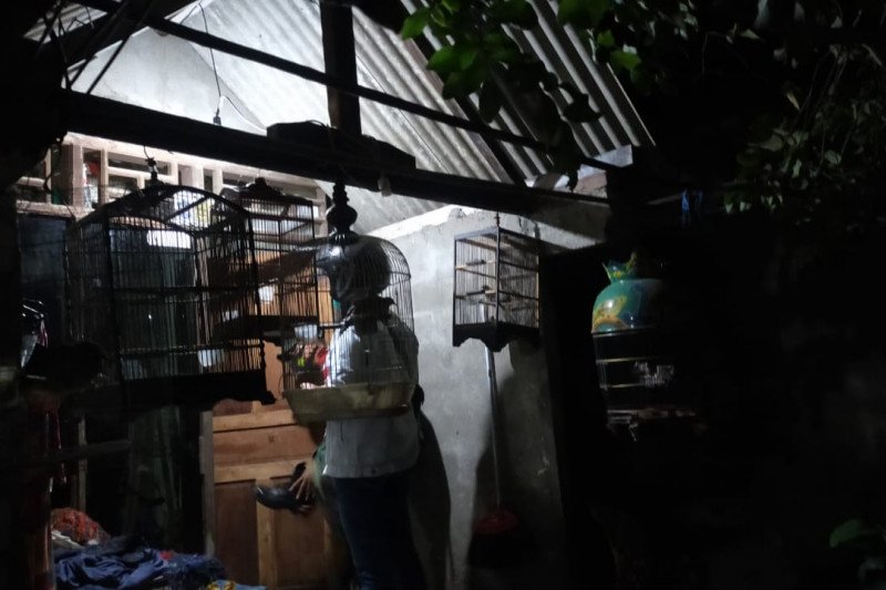 Rumah terduga teroris berinisial N di Jalan Tambak Asri, Gang Dahlia 2A No 27, Surabaya yang ditangkap Densus 88 Antiteror Mabes Polri, Senin (1/3). (ANTARA Jatim/HO/WI)

