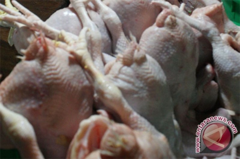 Pedagang memilih daging ayam potong di Pasar Rawamangun, Jakarta Timur. (ANTARA/M Agung Rajasa/Koz)