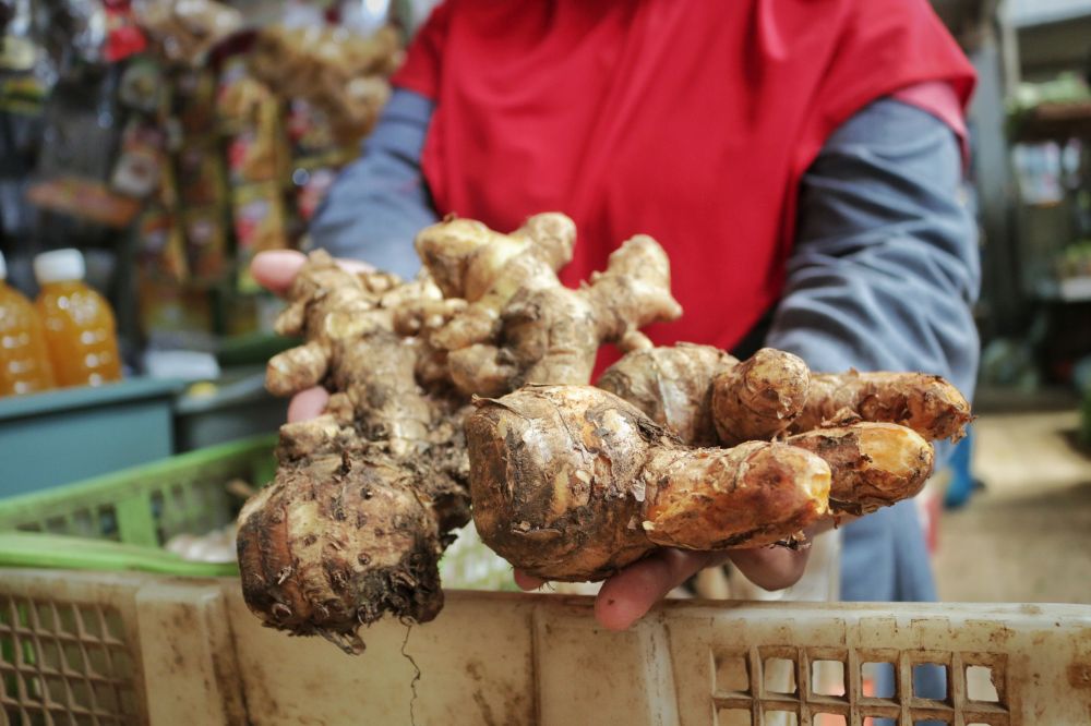 BANYAK: Stok berlimpah di salah satu lapak pedagang empon-empon di Pasar Jagir, Surabaya (8/4). Harga empon-empon di pasar lokal maupun pasar daerah mengalami kenaikan hingga 50-80 persen semenjak munculnya wabah Covid-19. HMP/Zulfikar Firdaus.