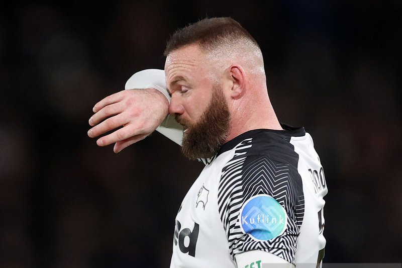 Wayne Rooney. ant