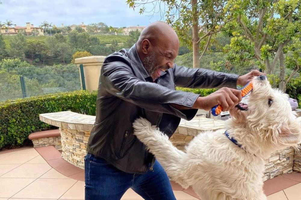 Petinju legendaris Mike Tyson (kiri) dalam foto unggahan di akun instagram pribadinya pada 5 April 2020. (ANTARA/Instagram@miketyson)