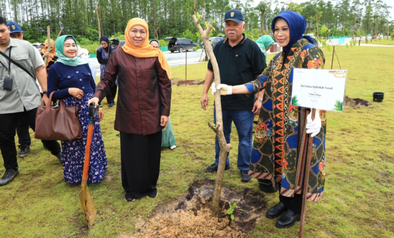 Jawa Timur Tanam Pohon Maja di IKN, Tanda Sinergi Membangun Peradaban Baru