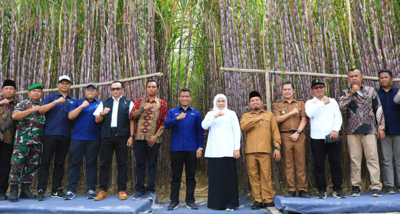 Gubernur Jawa Timur Khofifah Indar Parawansa bersama Direktur Utama PT Sinergi Gula Nusantara (SGN) Mahmudi meluncurkan program Kredit Usaha Rakyat Khusus (KURsus) Klaster Petani Tebu Jawa Timur di Kebun Tebu Prajekan, Bondowoso, Selasa (6/5/2025).