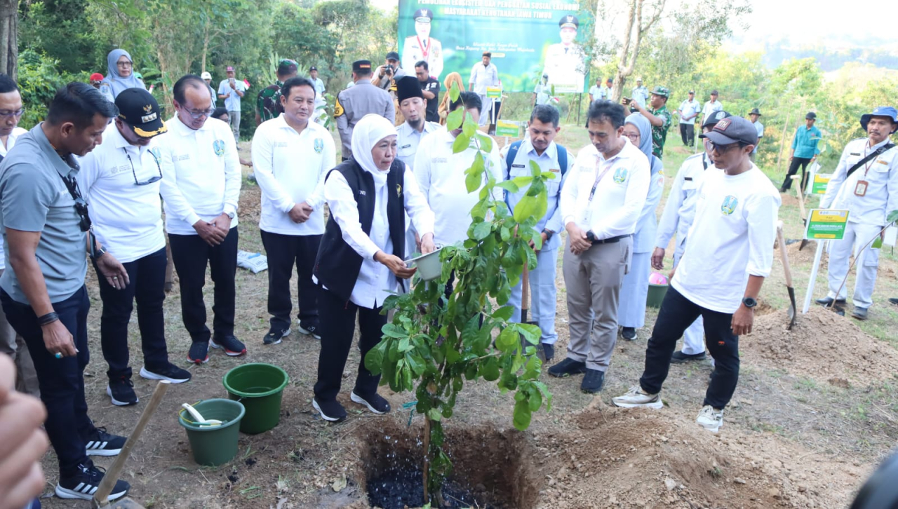 Gubernur Khofifah saat melakukan penanaman bibit pohon Rehabilitasi Hutan dan Lahan (RHL) dalam agenda Sinergi Rimbawan di Wisata Bukit Kayoe Putih, Kecamatan Jetis, Kabupaten Mojokerto, Selasa (22/7/2025)