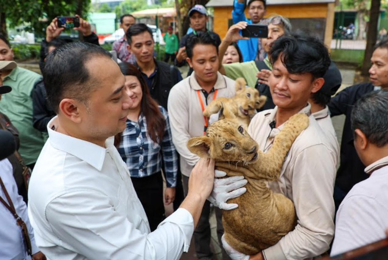 Wali Kota Surabaya Eri Cahyadi menyambangi Kebun Binatang Surabaya (KBS) pada Jumat (8/8/2025)