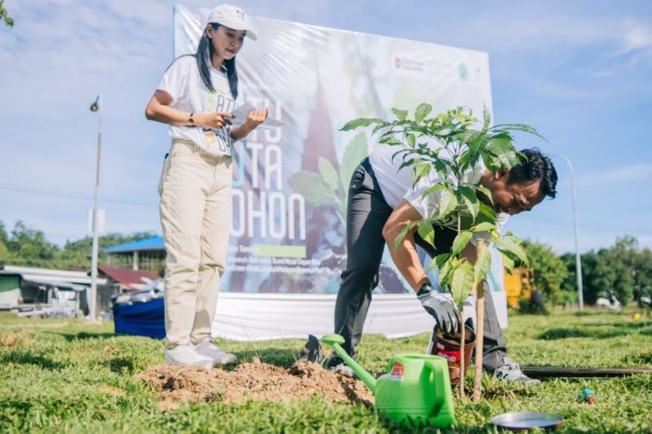 Program penanaman sejuta pohon tahun 2025 ini dilaksanakan pada Senin, 29 Desember 2025, dengan cakupan wilayah Kota Ambon hingga Kabupaten Maluku Tengah.
