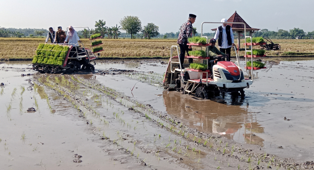 Gubernur Jawa Timur Khofifah Indar Parawansa bersama Bupati Madiun Hari Wuryanto turun langsung ke sawah melakukan tanam padi menggunakan transplanter riding pada gerakan Percepatan Tanam dan Panen Padi Tahun 2026 di Desa Gadong, Kecamatan Balerejo, Kabu