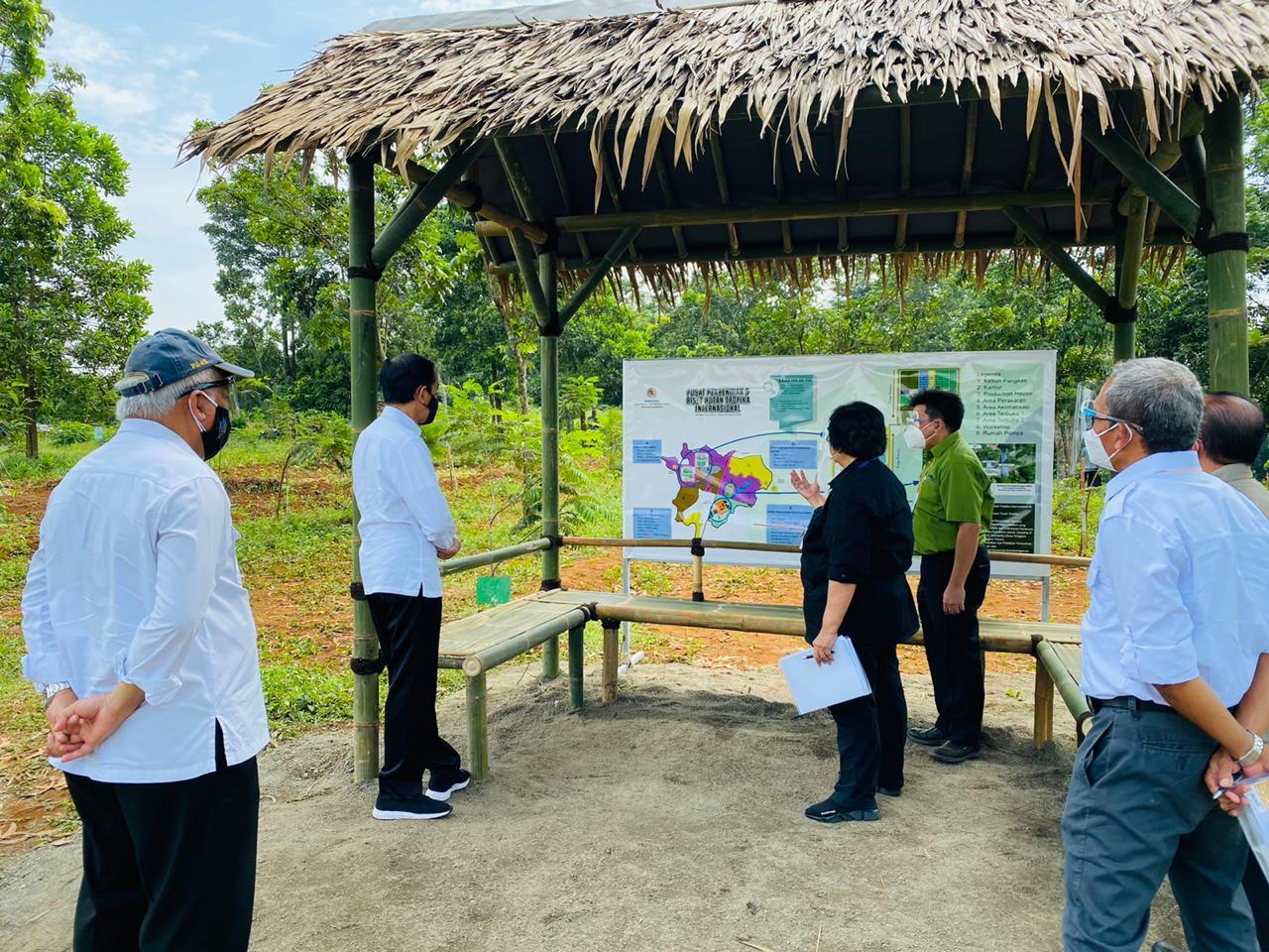 Jokowi: Pusat Benih dan Persemaian di Rumpin Hasilkan 16 Juta Bibit