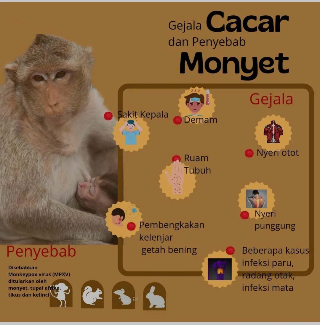 Dinkes Kota Surabaya mengimbau masyarakat untuk waspada terhadap penyakit Cacar Monyet