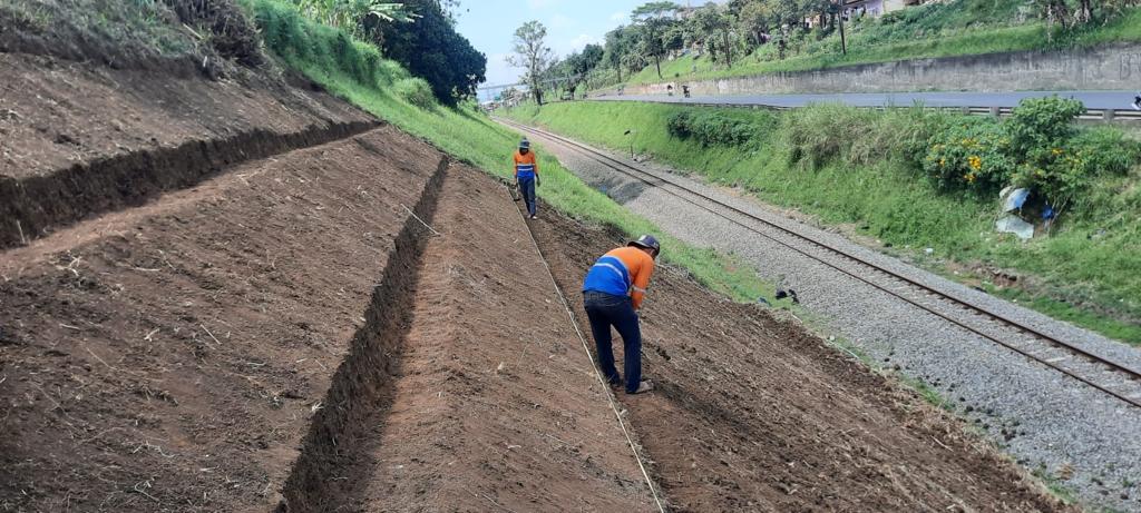 PT Kereta Api Indonesia (Persero) mengintensifkan penanaman pohon serta rumput akar wangi di sepanjang jalur kereta api. Langkah tersebut sebagai upaya KAI dalam memitigasi potensi longsor pada lereng melalui media tanaman.
