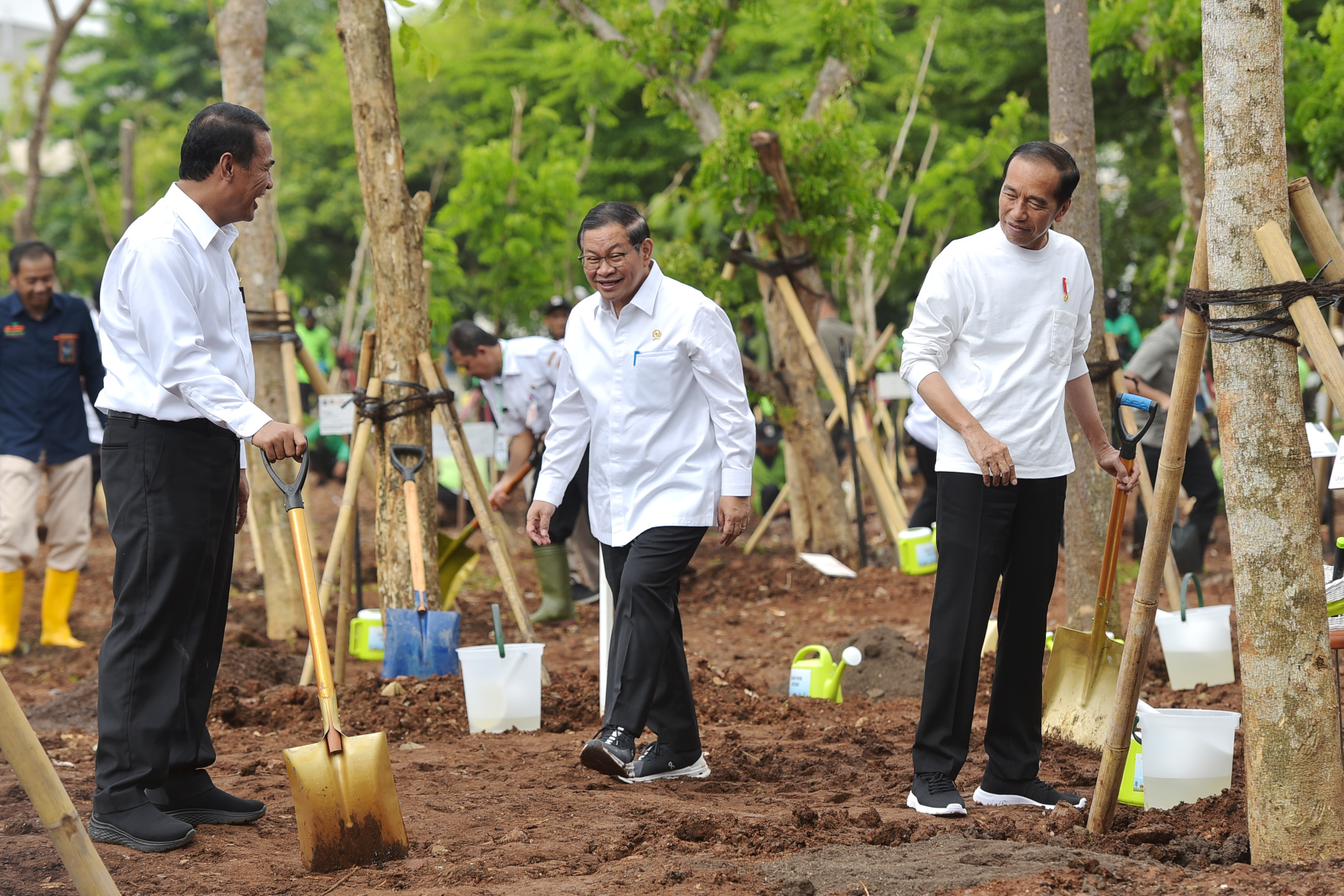 Presiden Jokowi didampingi Seskab Pramono Anung dan Mentan Amran Sulaiman pada acara Gerakan Tanam Pohon Bersama di Hutan JIEP Kawasan Industri Pulo Gadung, Jakarta Timur, Rabu (29/11/2023). (Foto: Humas Setkab/Agung


