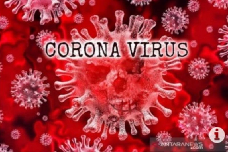 Ilustrasi - Virus Corona (COVID-19). ANTARA/HO

