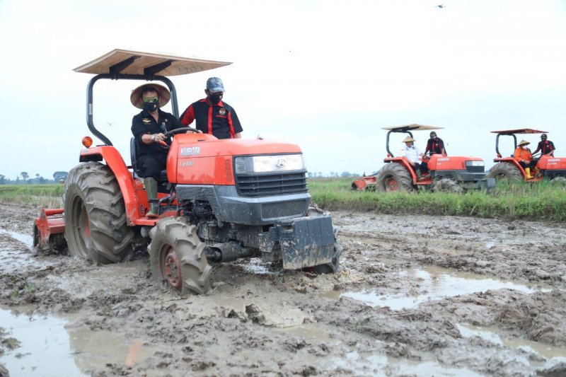 Menteri Pertanian (Mentan) Syahrul Yasin Limpo di lahan sawah Trimurjo Lampung Tengah, Jumat (19/6/2020) (ANTARA/HO)

