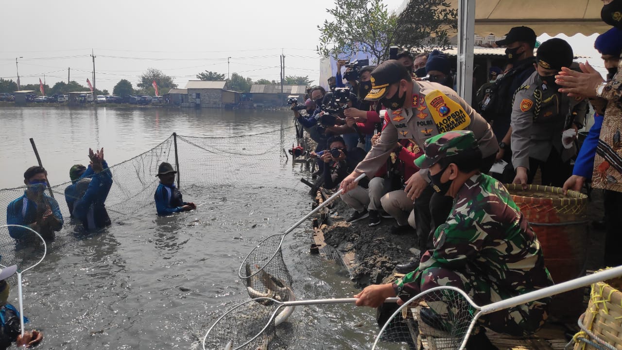 Kapolda Bersama Pangdam V/Brawijaya Panen Udang dan Tebar Benih Ikan