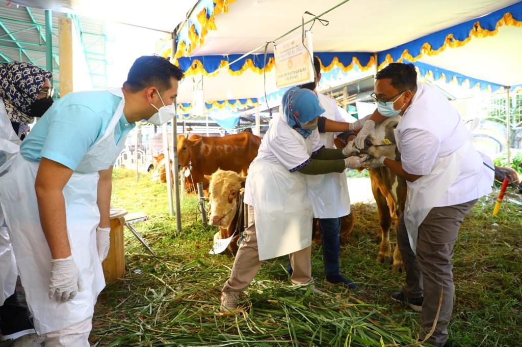 Wakil Gubernur Jawa Timur Emil Elestianto Dardak saat meninjau pelaksanaan dan penyembelihan hewan Qurban di Rumah Potong Hewan (RPH) Pegirian, Surabaya, Sabtu (9/7). 