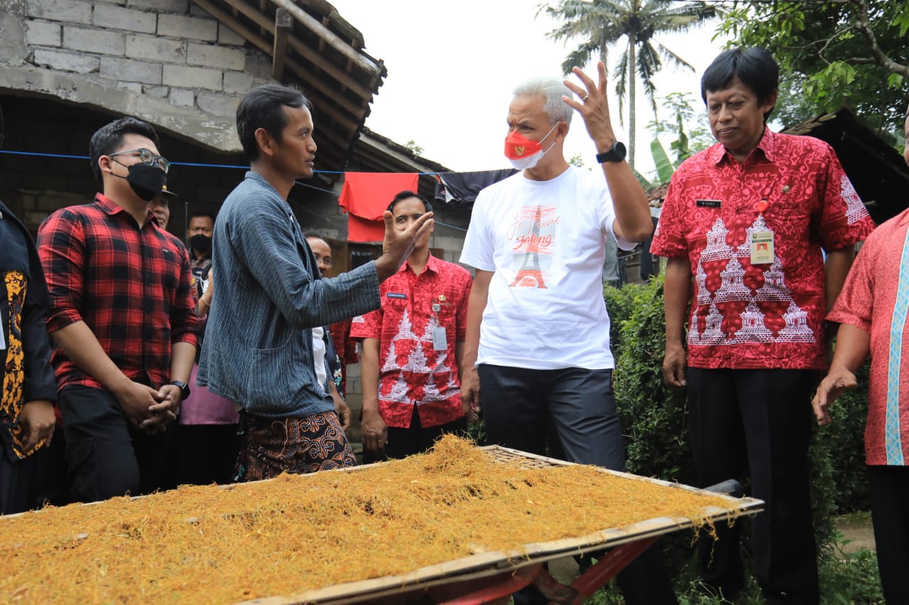 Gubernur Jawa Tengah Ganjar Pranowo saat melihat pabrik pengolahan Talas Beneng menjadi tembakau di KUB Berkah Karya.
