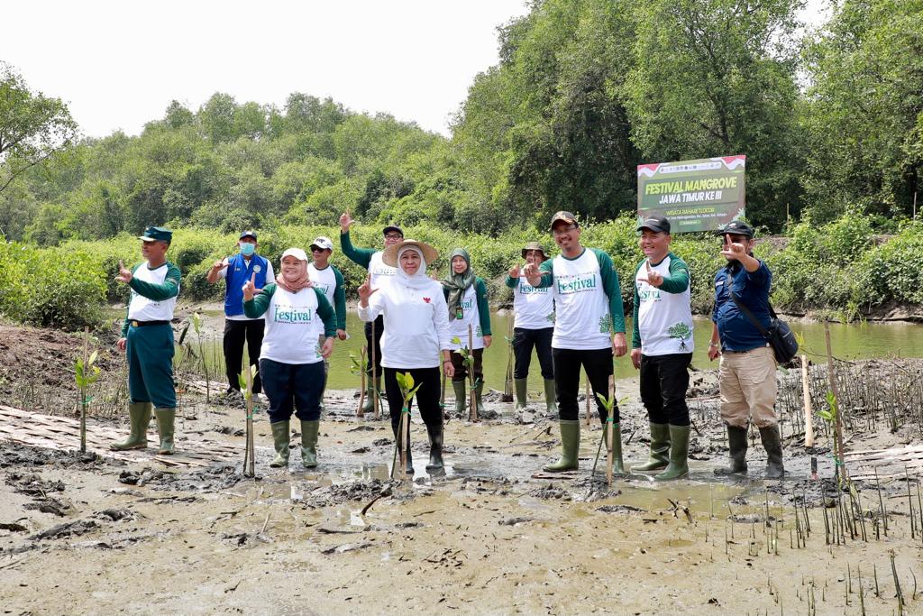 Khofifah: Kuatkan Sinergi Hulu Hilir Untuk Jaga Ekosistem Mangrove