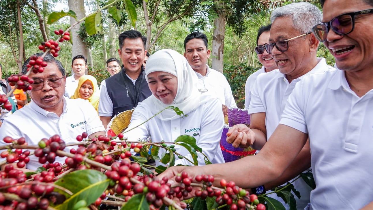 Gubernur Khofifah mendukung peluncuran Platform Kemitraan Sosial Socio Forest di Kampung Kopi Kluncing Jl. Kawah Ijen, Pondok Jeruk, Desa Sukorejo, Kecamatan Sumberwringin Kabupaten Bondowoso pada Jumat, (16/7). 
