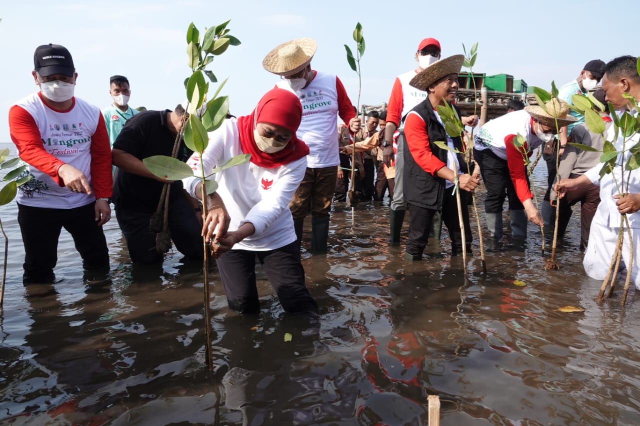 Gubernur Khofifah: Ayo Masifkan Tanam dan Lestarikan Mangrove Untuk Sedekah Oksigen