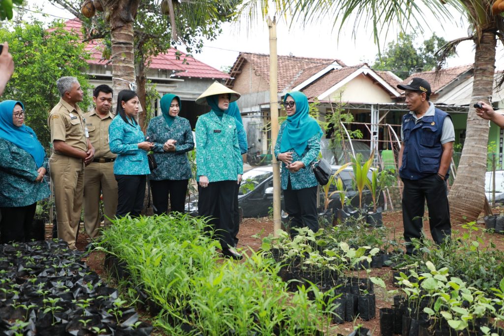 Shinta secara khusus meninjau demplot bibit cabai, pare, dan terong di desa tersebut, Senin (4/12/2023). 
