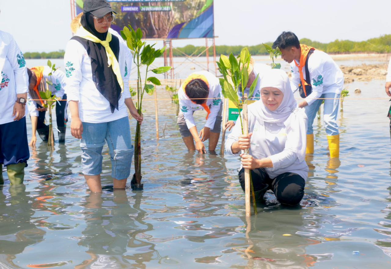 Gubernur Khofifah melakukan penanaman 22.500 bibit mangrove dalam gelaran Festival Mangrove Ke-VI yang digelar Pemprov Jatim di Kabupaten Sumenep, Selasa (26/12).