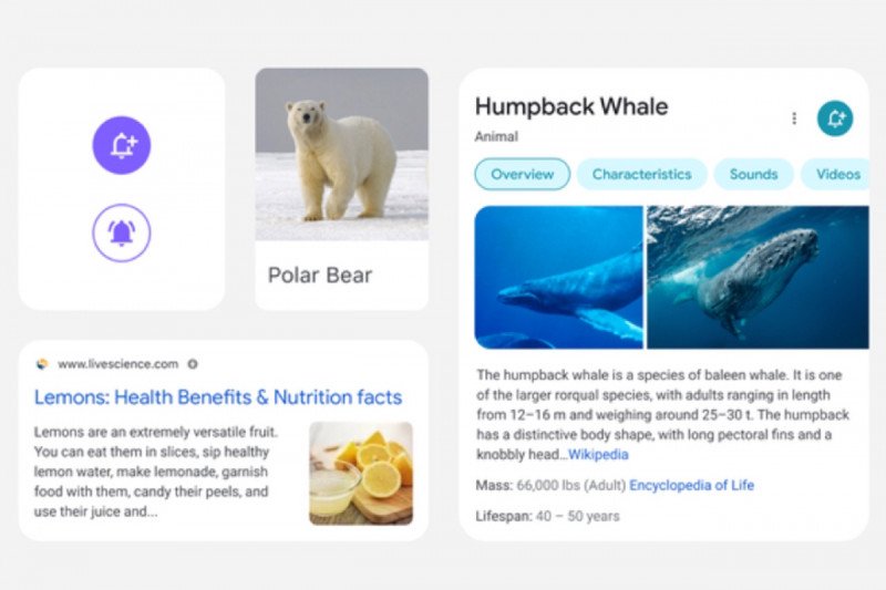 Google desain ulang hasil pencarian di perangkat mobile (blog.google)