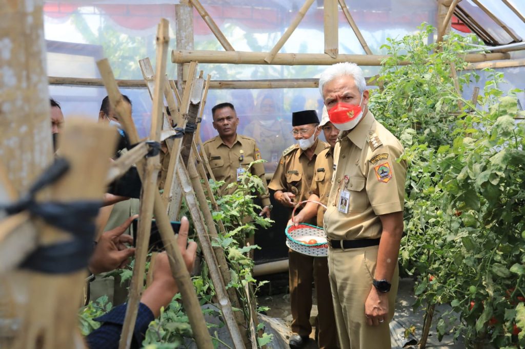 Ganjar berkeliling melihat greenhouse lumbung sayur Pondok Makmur, dan berdialog dengan warga di Desa Pondok, Kecamatan Grogol, Kabupaten Sukoharjo, Senin (31/10/2022).