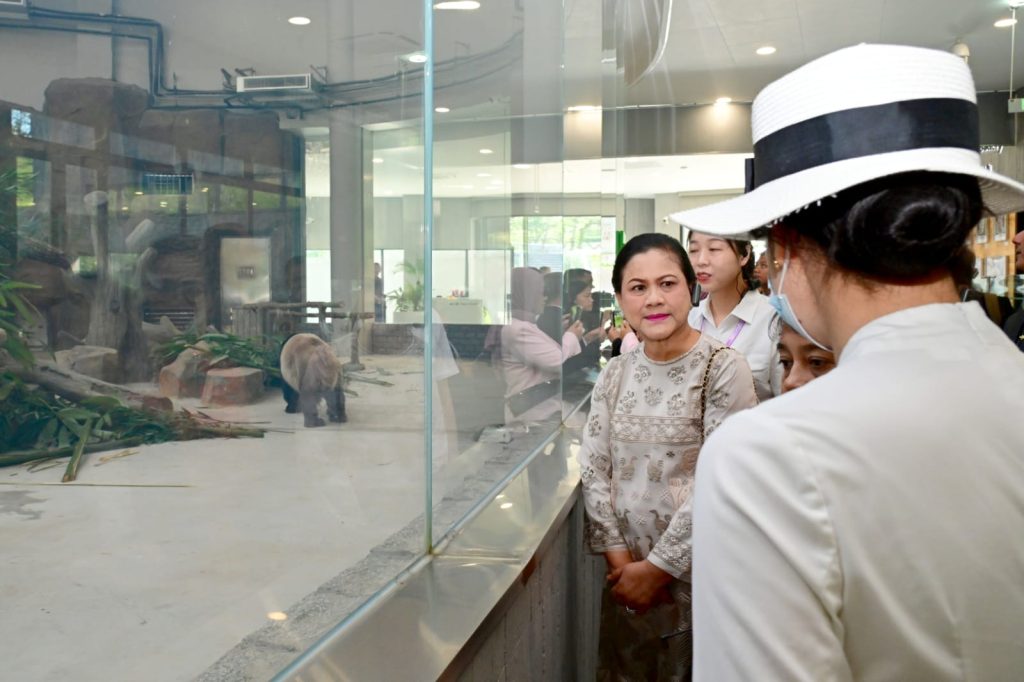 Iriana Joko Widodo mengunjungi Chengdu Research Base of Giant Panda Breeding (Panda Base), Chengdu, Republik Rakyat Tiongkok (RRT), pada Jumat (28/07/2023). (Foto: BPMI Setpres/Muchlis Jr)

