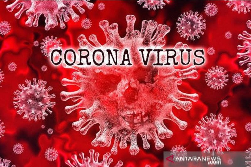 Ilustrasi Virus COVID-19.(Arsip Antaranews)

