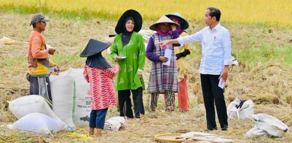 Presiden Joko Widodo berbincang sejenak dengan para petani sambil mengecek langsung kondisi padi yang dipanen saat itu di Provinsi Jawa Barat, Senin, 6 Maret 2023. Foto: BPMI Setpres/Laily Rachev