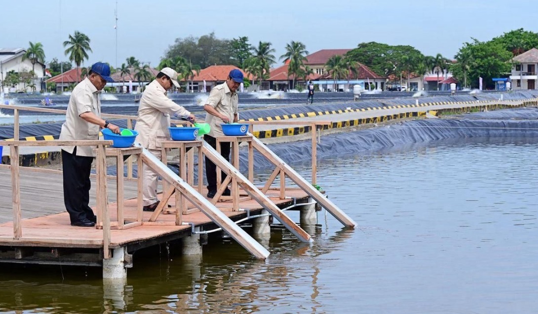 Presiden Prabowo Subianto mengunjungi Kawasan Balai Layanan Usaha Produksi Perikanan Budidaya (BLUPPB), Kabupaten Karawang, Provinsi Jawa Barat, pada Senin, 2 Desember 2024. Foto: BPMI Setpres/Muchlis Jr