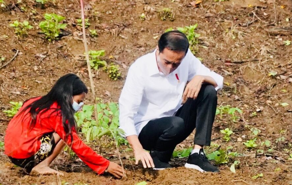 Presiden Joko Widodo melakukan penanaman pohon bersama masyarakat di Kawasan Hutan Gunung Pepe, Kabupaten Lombok Tengah, Provinsi Nusa Tenggara Barat, pada Sabtu, 13 November 2021. Foto: BPMI Setpres
