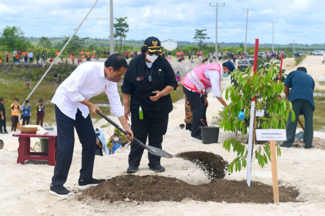 Presiden Joko Widodo melakukan penanaman pohon bersama masyarakat di salah satu daerah aliran sungai (DAS) di Kabupaten Sintang, Provinsi Kalimantan Barat, pada Rabu, 8 Desember 2021. Foto: BPMI Setpres
