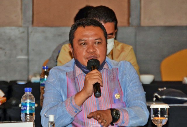 Anggota Komisi VI DPR RI Lamhot Sinaga . ist