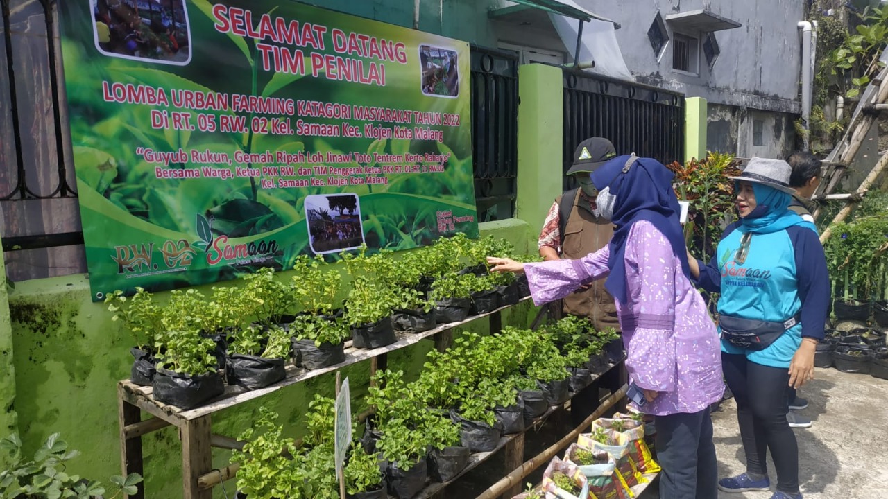 Pemkot Malang terus berupaya menggalakkan kegiatan urban farming yang menjadi salah satu strategi untuk memenuhi kebutuhan pangan hingga pada kelompok kecil di masyarakat