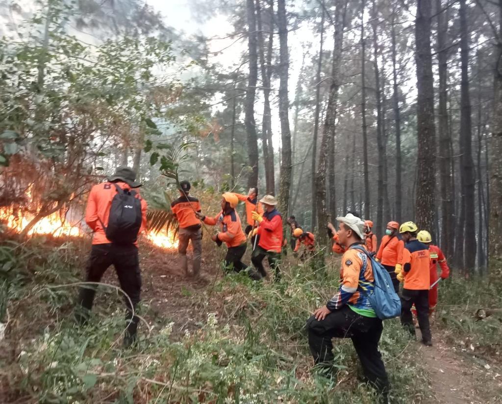 Kebakaran hutan dan lahan (Karhutla) di kawasan Gunung Lawu yang terus meluas 