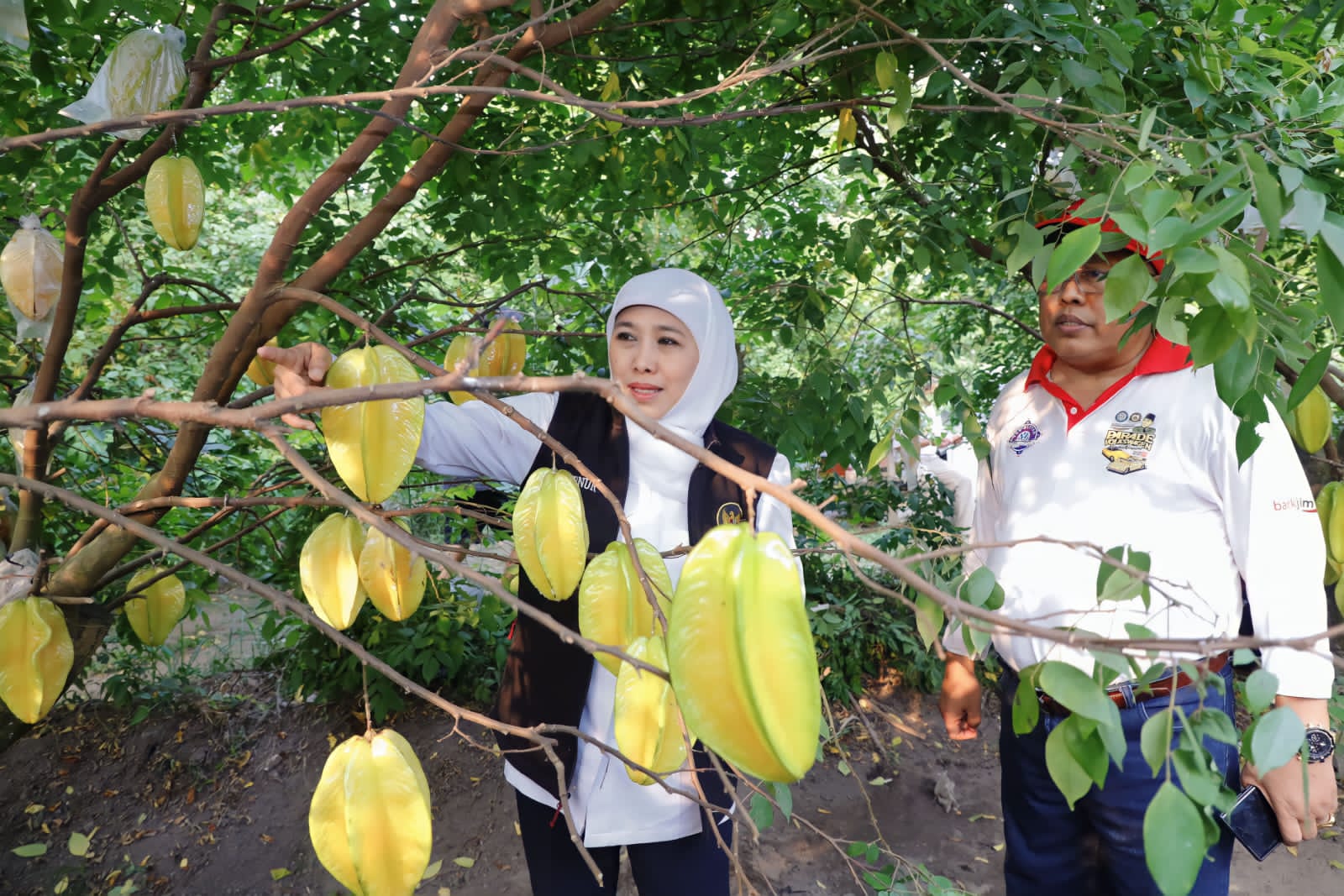 Gubernur Jawa Timur Khofifah Indar Parawansa mengunjungi wisata petik buah Belimbing di Agrowisata Karangsari yang terletak di Jl. Jeruk, Kelurahan Karangsari, Kecamatan Sukorejo Kota Blitar, Sabtu (28/10)