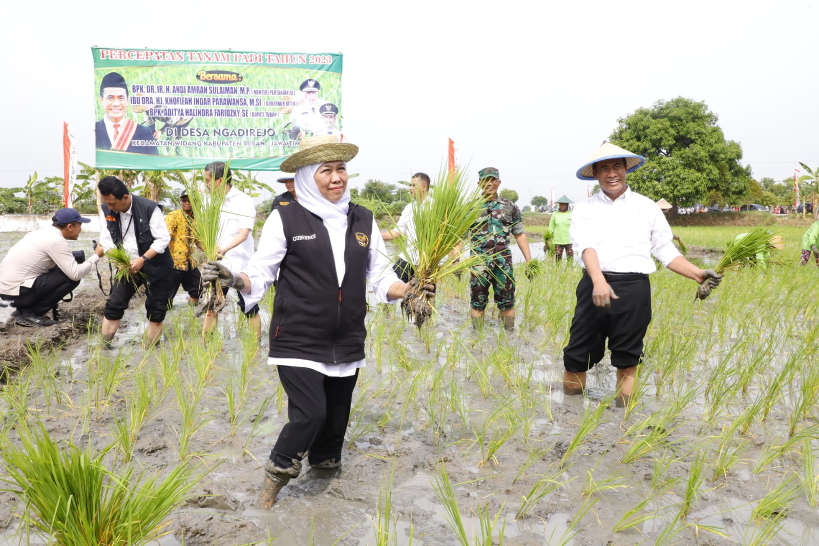 Gubernur Jawa Timur Khofifah Indar Parawansa mendampingi kunjungan kerja Menteri Pertanian Andi Amran Sulaiman pada acara panen dan tanam padi bersama di Kec. Widang Kabupaten Tuban, Kamis (23/11).