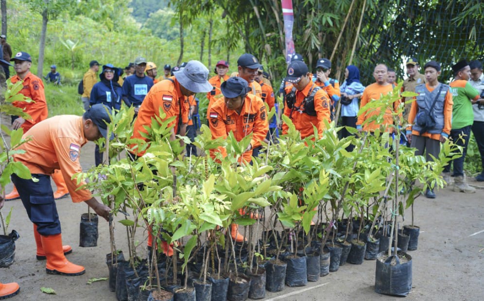 Badan Penanggulangan Bencana Daerah (BPBD) Jawa Timur menggencarkan aksi penghijauan di berbagai wilayah rawan bencana hidrometeorologi. Ribuan bibit pohon ditanam sebagai langkah strategis dalam upaya mitigasi bencana dan pelestarian lingkungan.