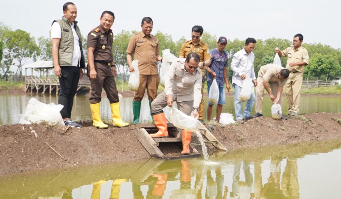 Penjabat (Pj) Bupati Pasuruan, Nurkholis, bersama Kepala Kejari Kabupaten Pasuruan, Teguh Ananto saat penebaran puluhan ribu benih ikan bandeng di tambak petani di Desa Patuguran, Kecamatan Rejoso, Selasa (18/2/2025) pagi.