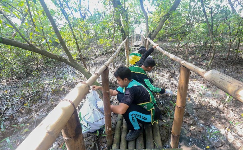ratusan peserta dari berbagai elemen masyarakat turun tangan membersihkan kawasan mangrove dari ancaman sampah plastik, Kamis (27/2/2025),