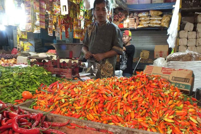 Foto dok. Pedagang menjual sayur mayur dan cabai di Pasar Tanjung Jember (ANTARA/ Zumrotun Solichah)