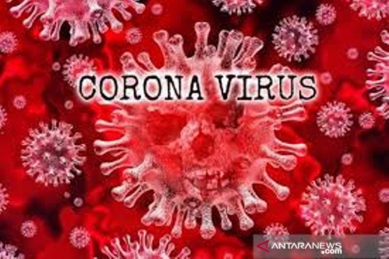 Ilustrasi virus Corona (Antaranews)