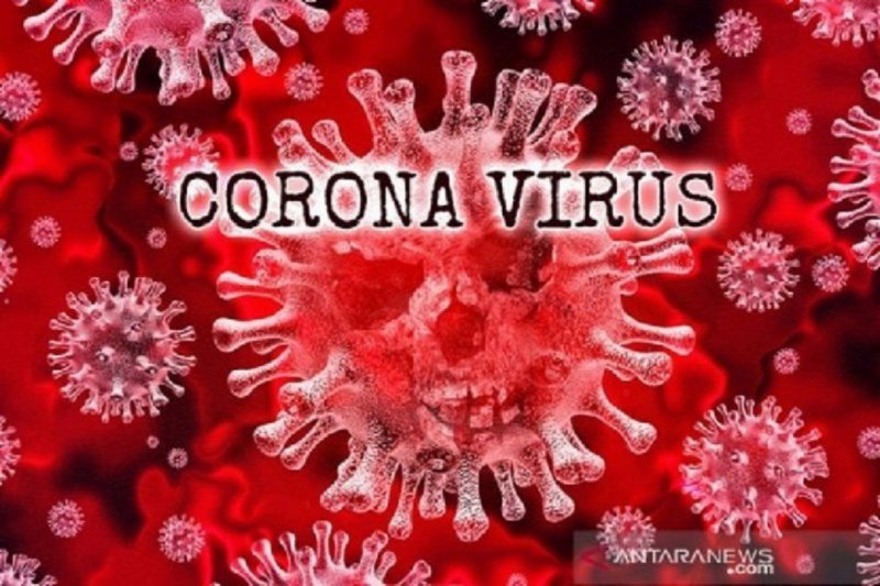 Ilustrasi virus Corona. Ant