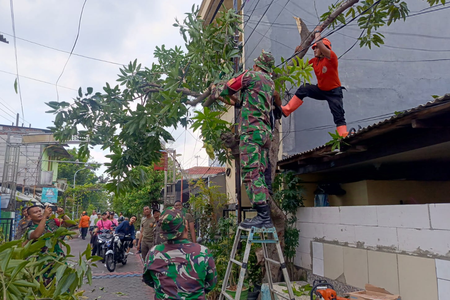 Pemerintah Kota (Pemkot) Surabaya bergerak cepat menangani dampak bencana angin puting beliung yang menerjang wilayah Kelurahan Manyar Sabrangan dan Kelurahan Mulyorejo, Kecamatan Mulyorejo, pada Jumat (29/11/2024) sore.